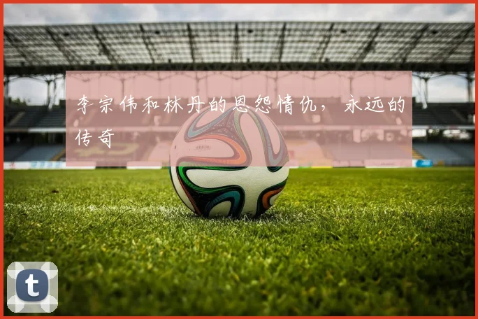 李宗伟和林丹的恩怨情仇，永远的传奇