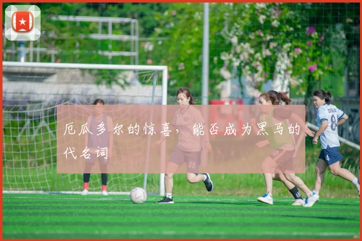 厄瓜多尔的惊喜，能否成为黑马的代名词