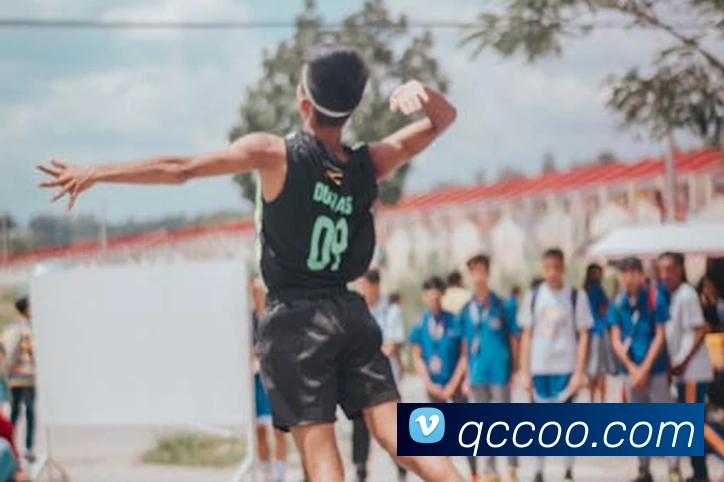 AI Risk Control